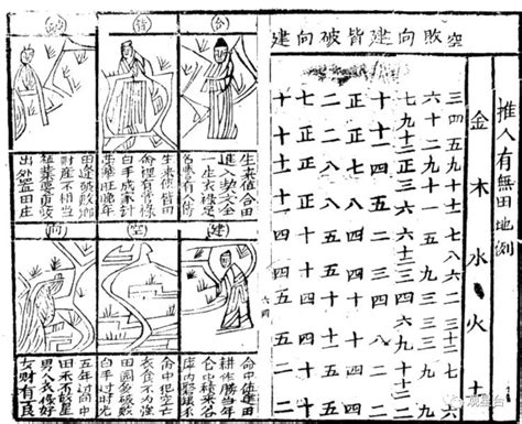 八字重量分析|生辰八字重量表計算程式、秤骨論命吉凶解說